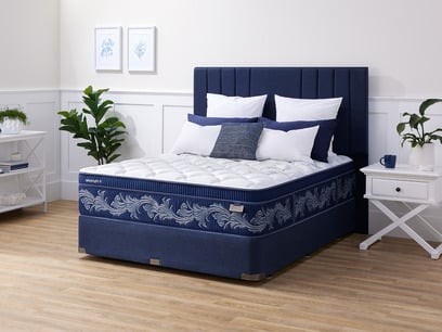 BRU Nov 2025 Black Out