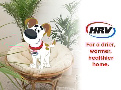 HRV 500 Dsys Q2 FY26 New